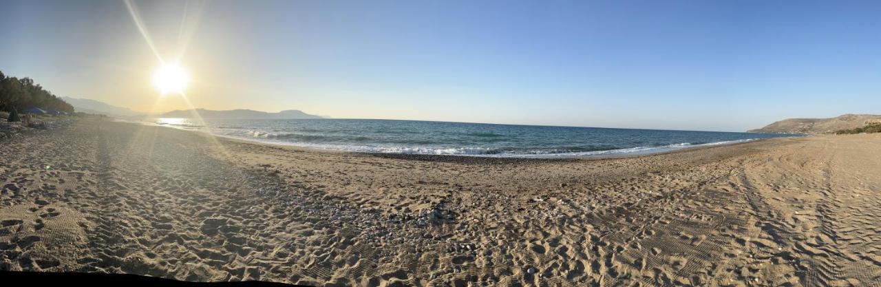 Olive Tree Farm 200M From The Beach 에피스코피 외부 사진