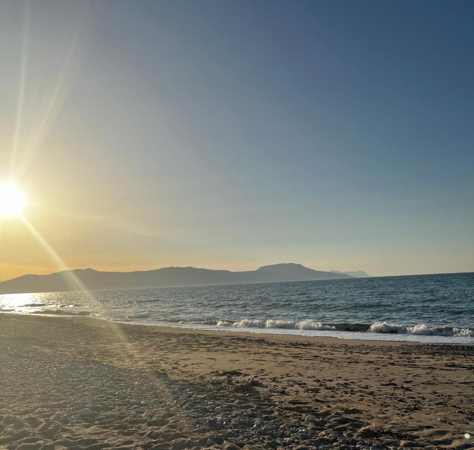 Olive Tree Farm 200M From The Beach 에피스코피 외부 사진