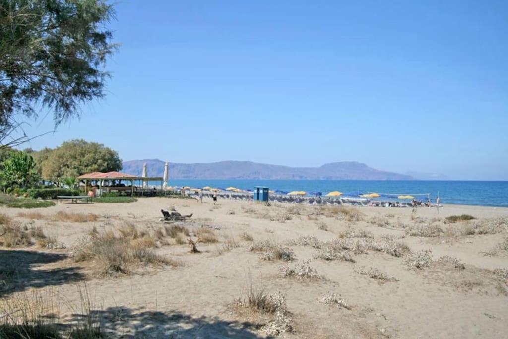 Olive Tree Farm 200M From The Beach 에피스코피 외부 사진