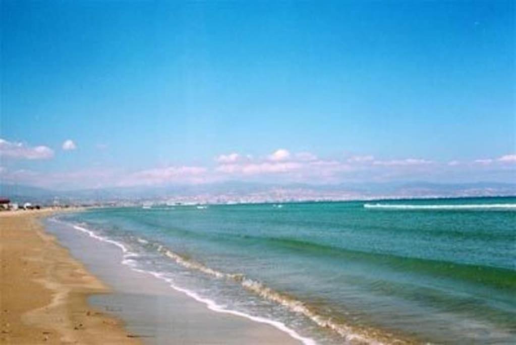 Olive Tree Farm 200M From The Beach 에피스코피 외부 사진
