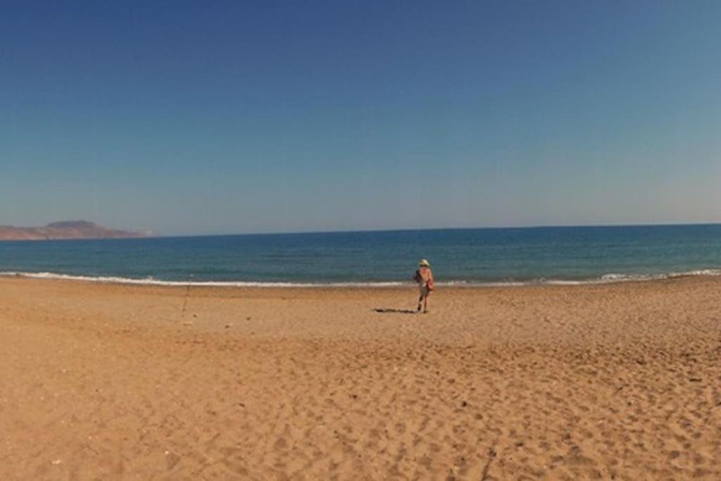Olive Tree Farm 200M From The Beach 에피스코피 외부 사진