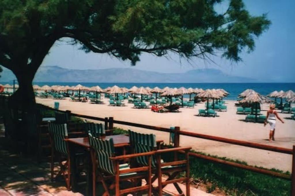 Olive Tree Farm 200M From The Beach 에피스코피 외부 사진