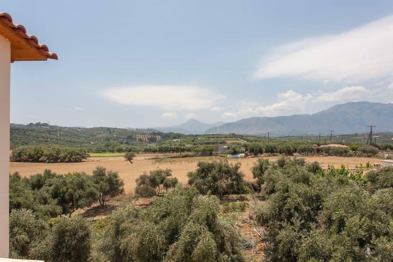 Olive Tree Farm 200M From The Beach 에피스코피 외부 사진