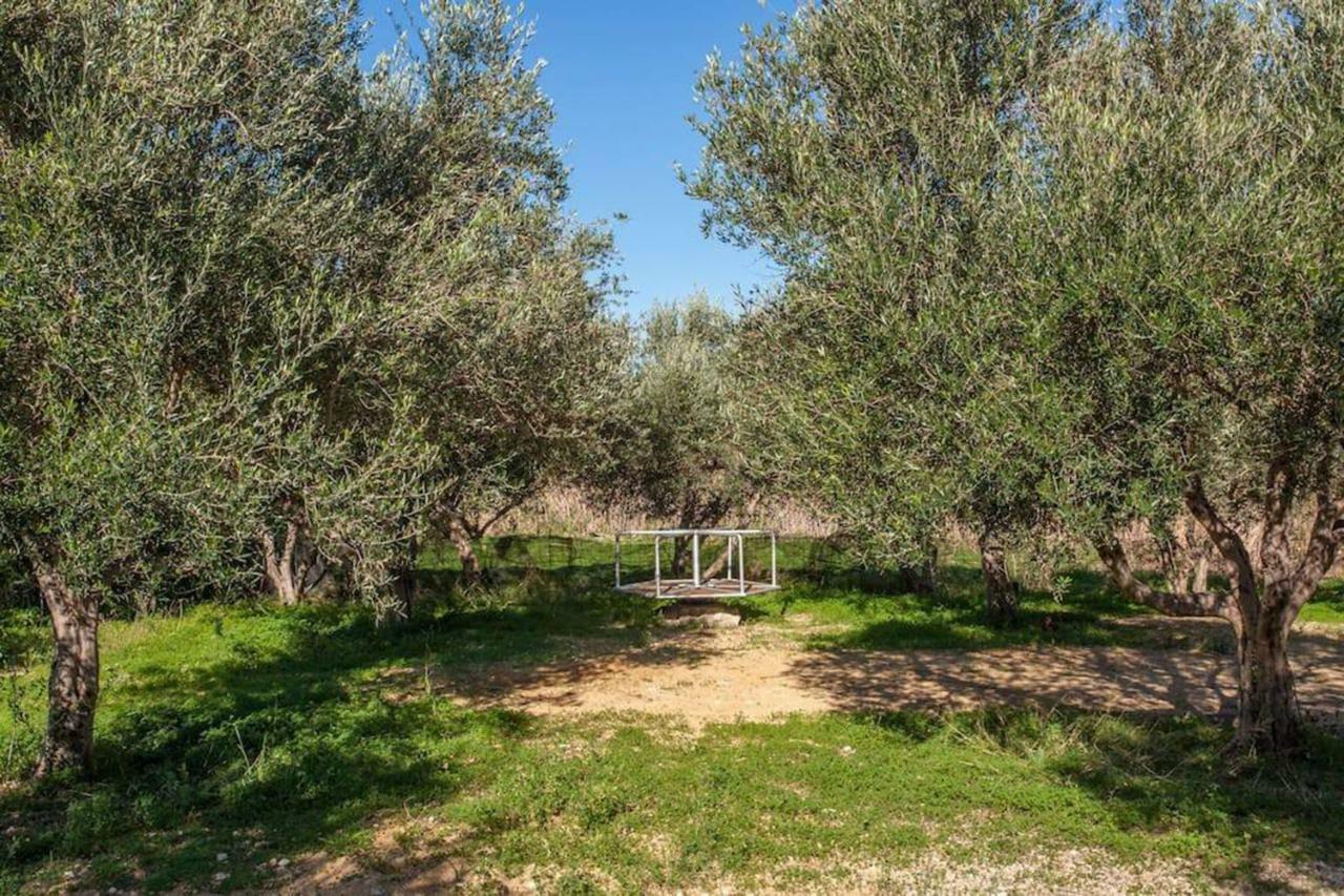 Olive Tree Farm 200M From The Beach 에피스코피 외부 사진