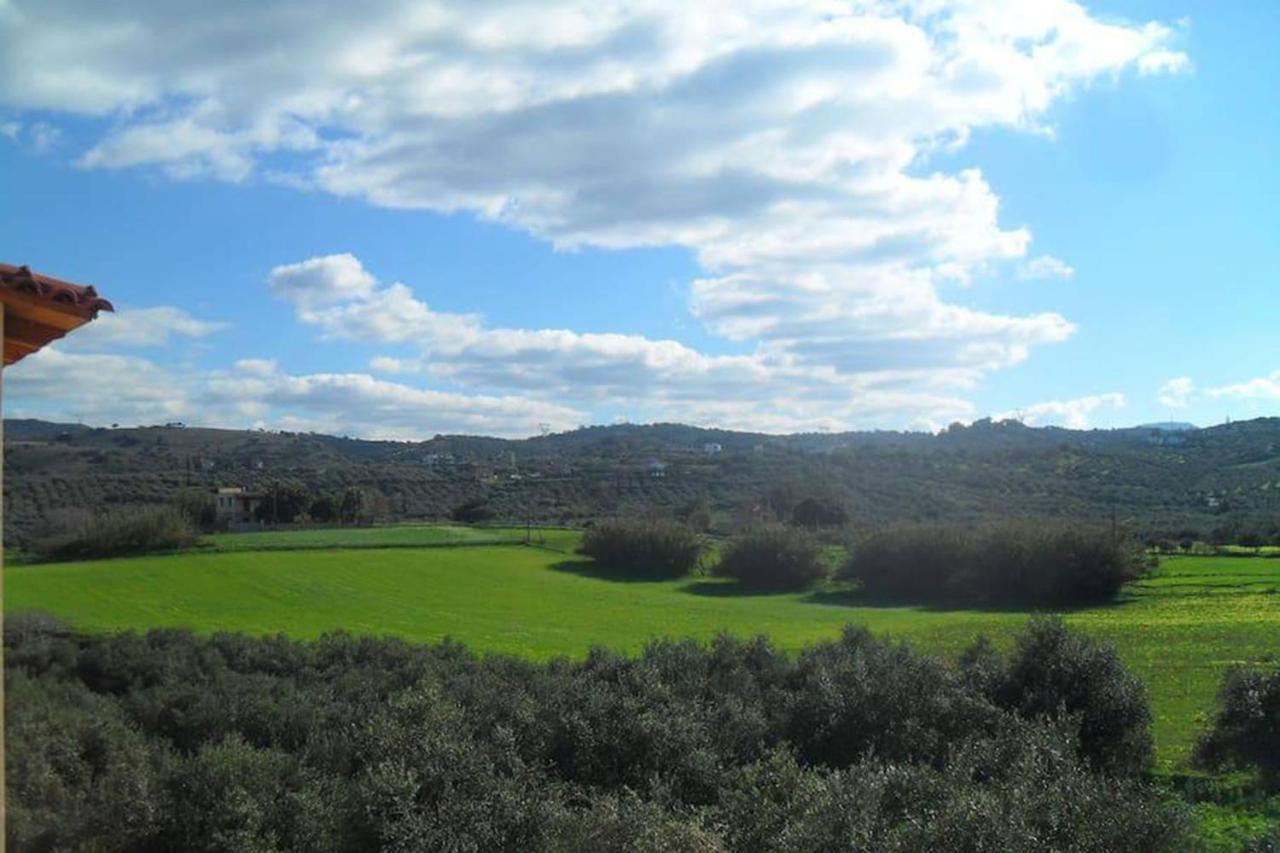 Olive Tree Farm 200M From The Beach 에피스코피 외부 사진