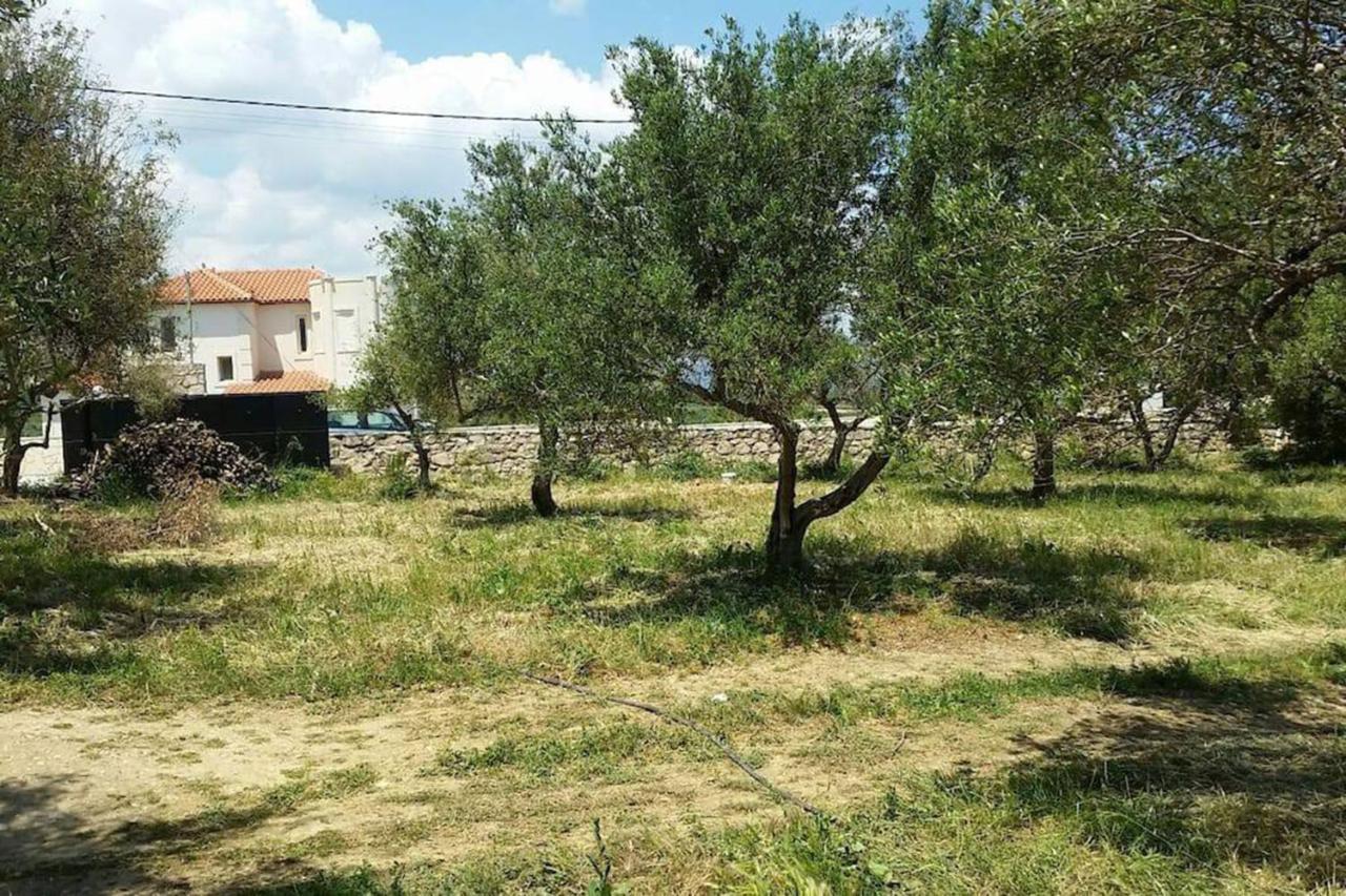 Olive Tree Farm 200M From The Beach 에피스코피 외부 사진